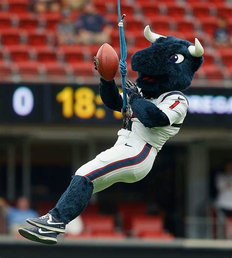 Houston texans mascot - The history of the Houston Texans began in 2002, bringing the National Football League back to Houston, Texas after the city's previous franchise, the Houston Oilers, relocated to Nashville, Tennessee to eventually become the Tennessee Titans.The Texans are the newest franchise in the NFL. Despite some growing pains in the first nine years of their …